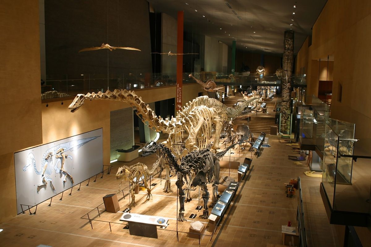 Kitakyushu Museum of Natural History & Human History