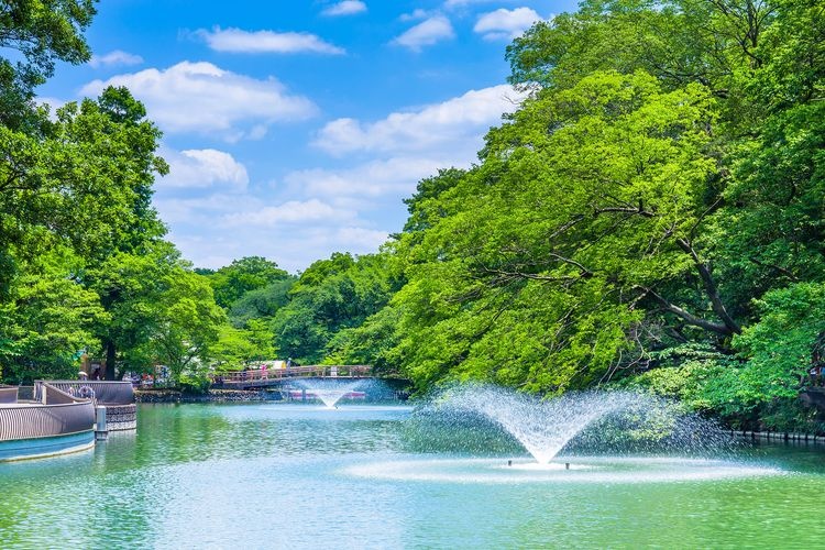 이노카시라 공원 (Inokashira Park) 4