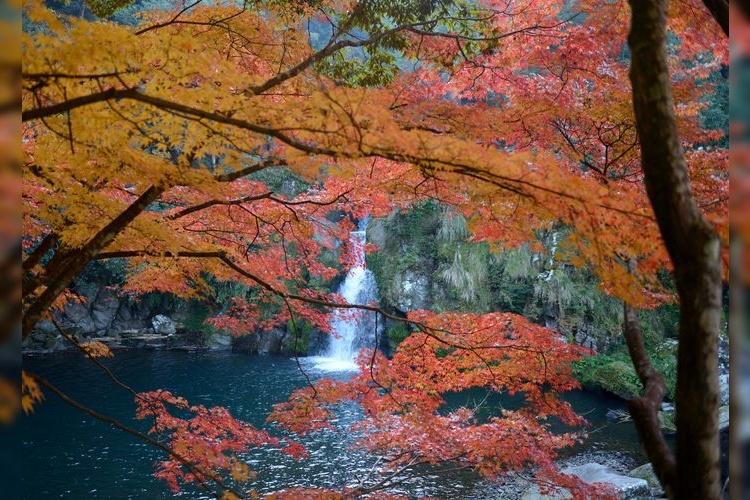 犬山城