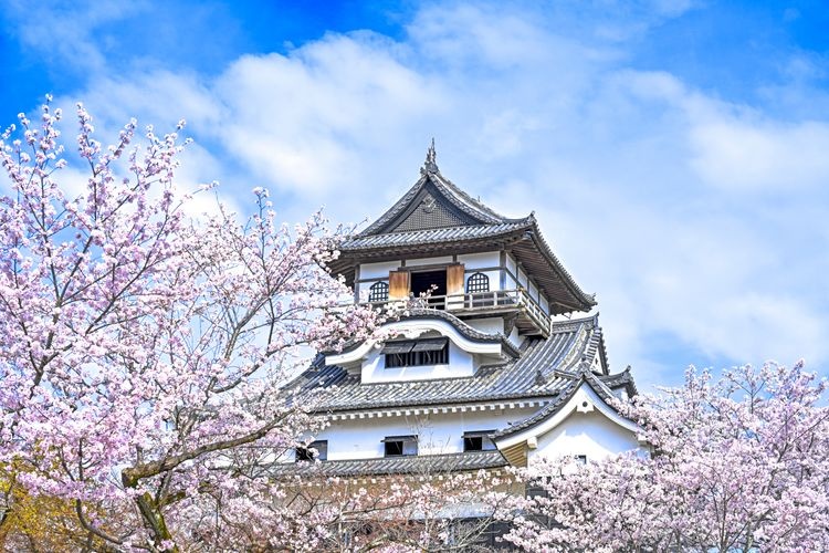 犬山城 3