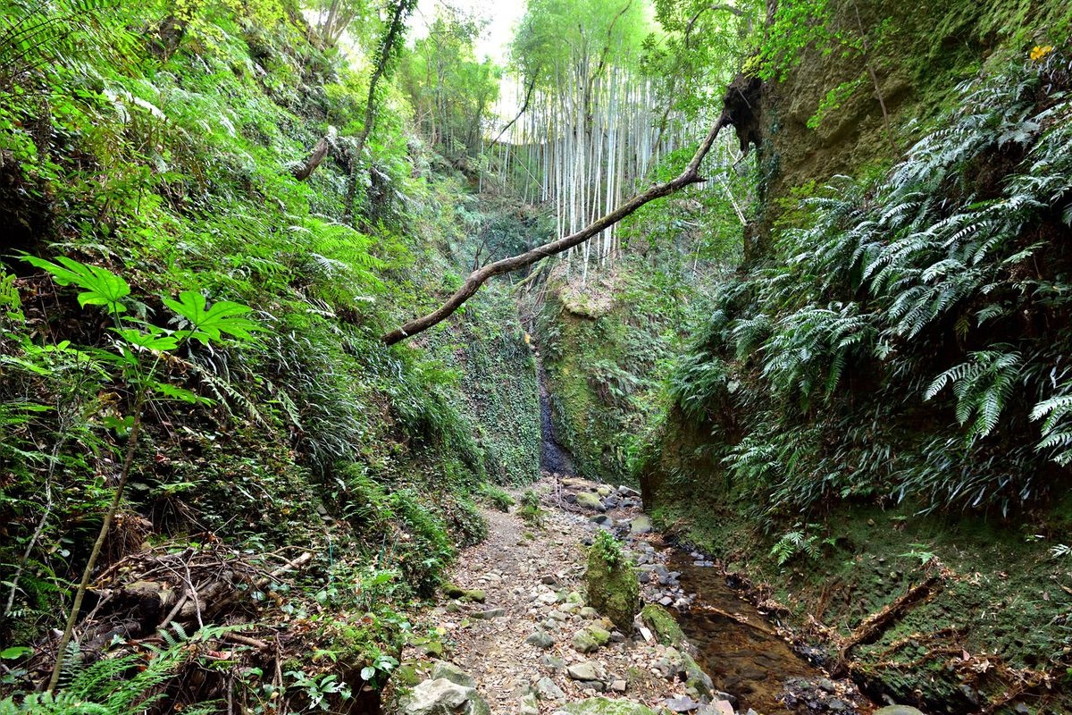 伊尾木洞 (Ioki Cave)