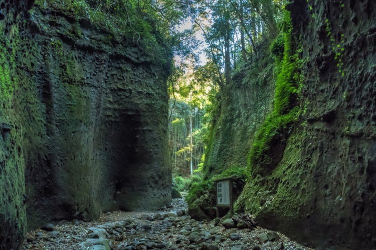 이오키 동굴 (Ioki Cave)