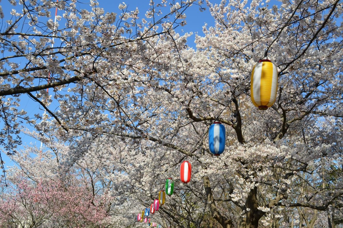 สวนสาธารณะอิบปอนมัตสึ (Ipponmatsu Park)