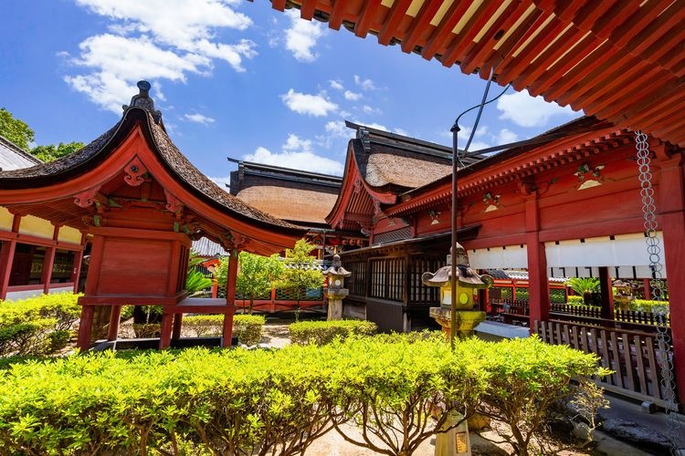 이사니와 신사 (Isaniwa Jinja) 2
