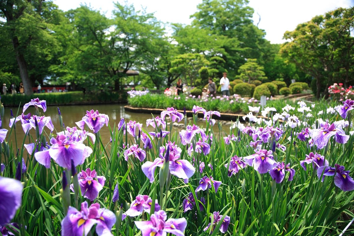 Isasumi Jinja Shrine