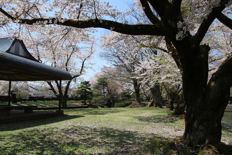 Isasumi Jinja Shrine