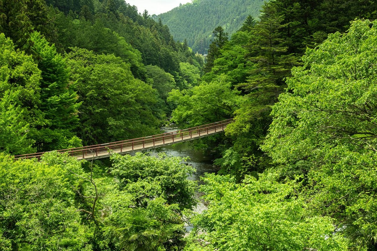 Ishibune-bashi (Vallée d'Akigawa)