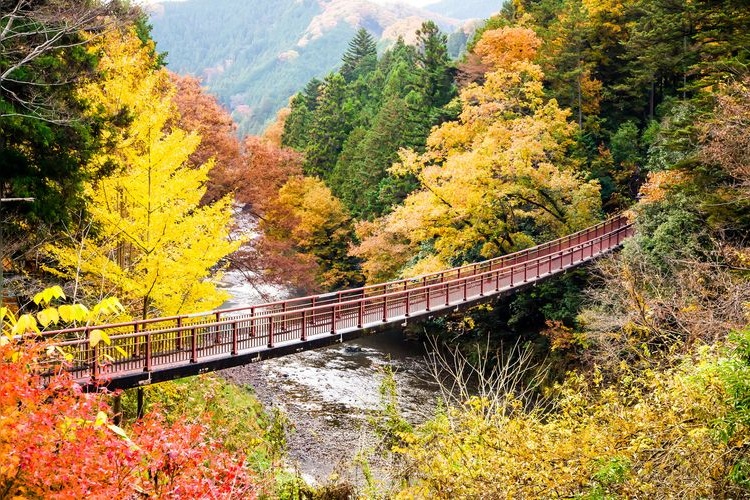 石舟橋(秋川渓谷)