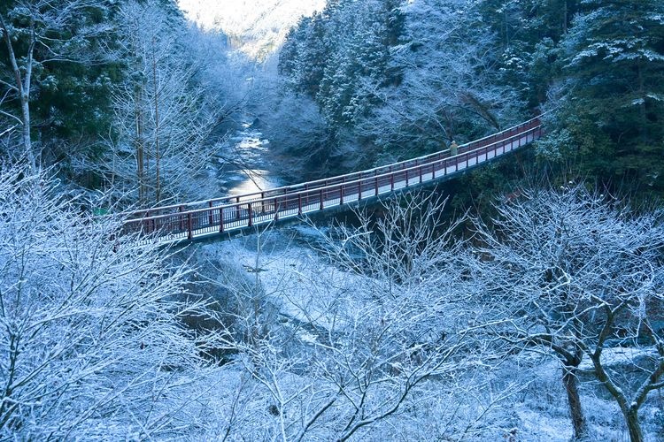 石舟橋（秋川渓谷） 3