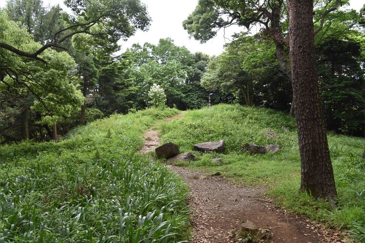 이시가키야마 성 (Ishigakiyama Castle) 3