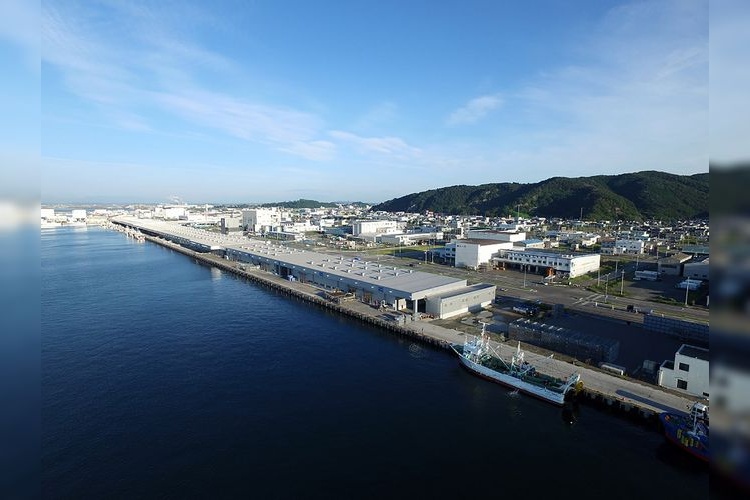 石卷魚市場 2