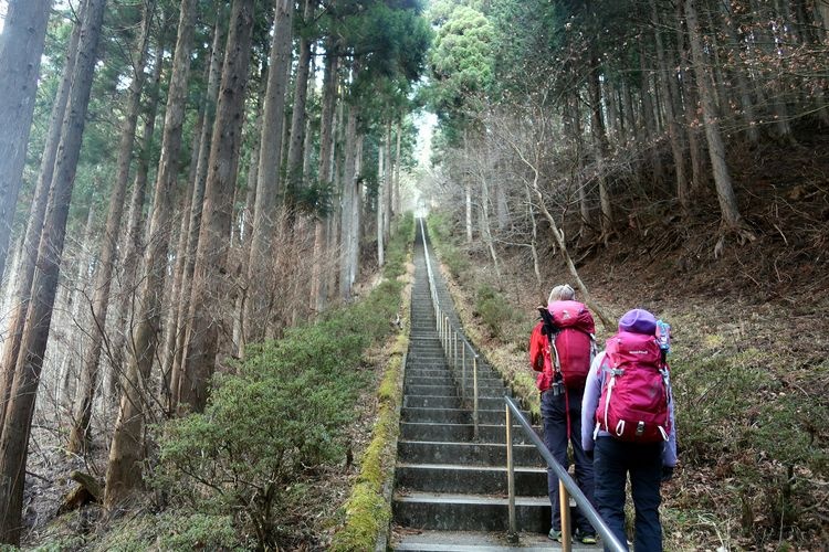 Ishiwari-yama