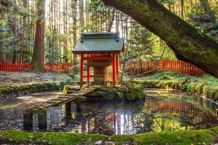 Ishiyayama-dera 4