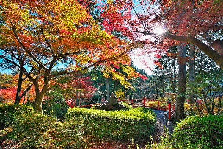Ishiyayama-dera 6