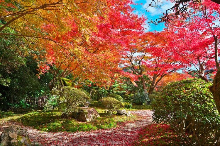 Ishiyayama-dera 8