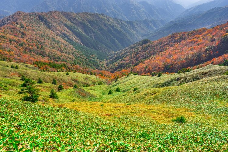 石鎚山 (Mount Ishizuchi) 3