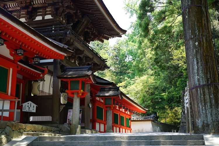 Isokami Jingu Shrine 6