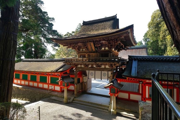 Isokami Jingu Shrine 7