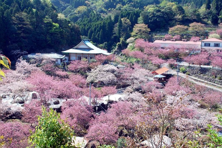 一心寺 3