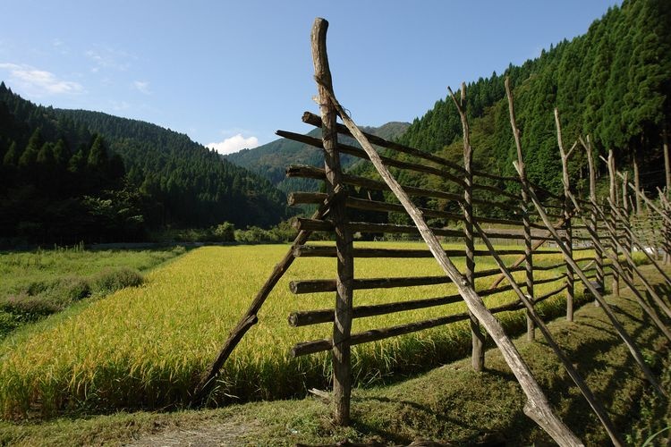 หมู่บ้านอิตาอิฮาระ (Itaihara) 3