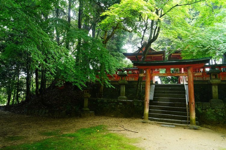 Gansenshi
