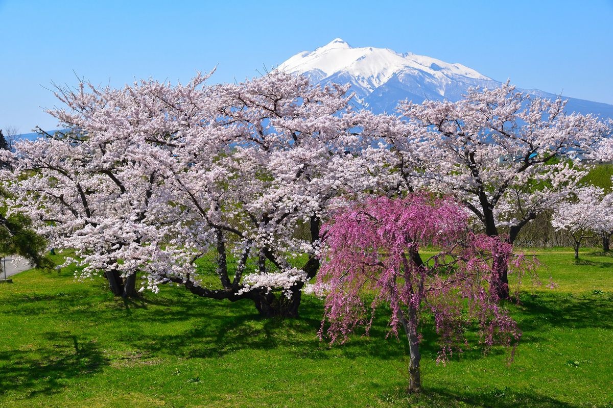 岩木川河川公園
