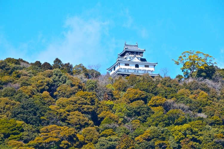 Iwakuni-jo (Château d'Iwakuni)