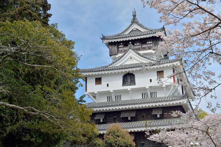 Iwakuni-jo (Château d'Iwakuni) 2