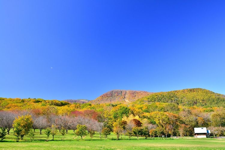 이와테 현민의 숲 (Iwate Kenmin no Mori)