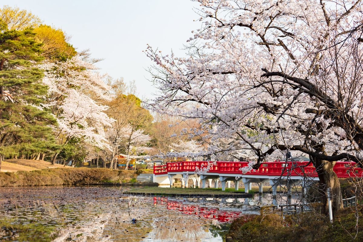 岩槻城址公園