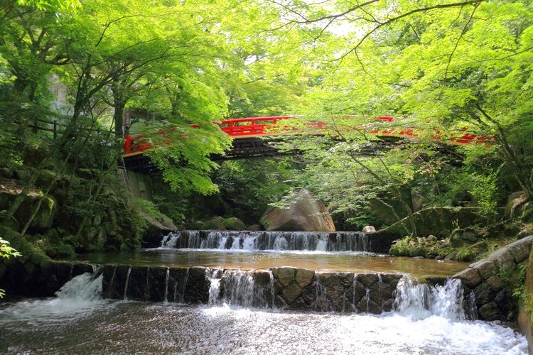 岩屋堂公園