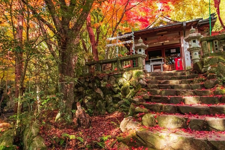 岩屋堂公園 2