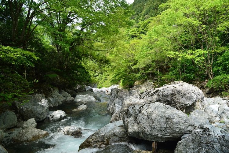 Iwayagawa Valley