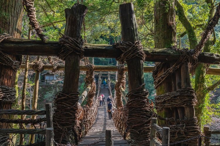 祖谷蔓橋 (Iya no Kazurabashi)