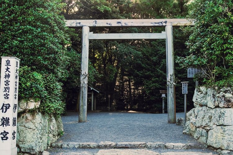 Izawamiya 2