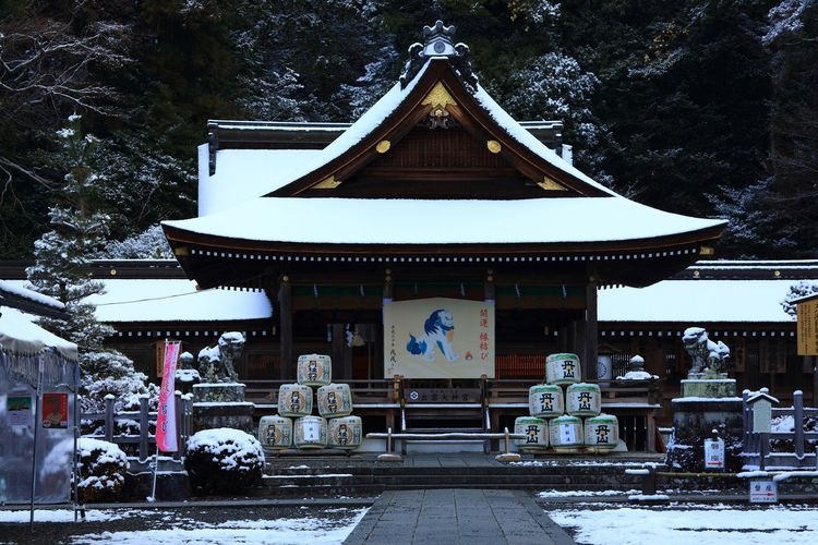 出雲大神宮 2