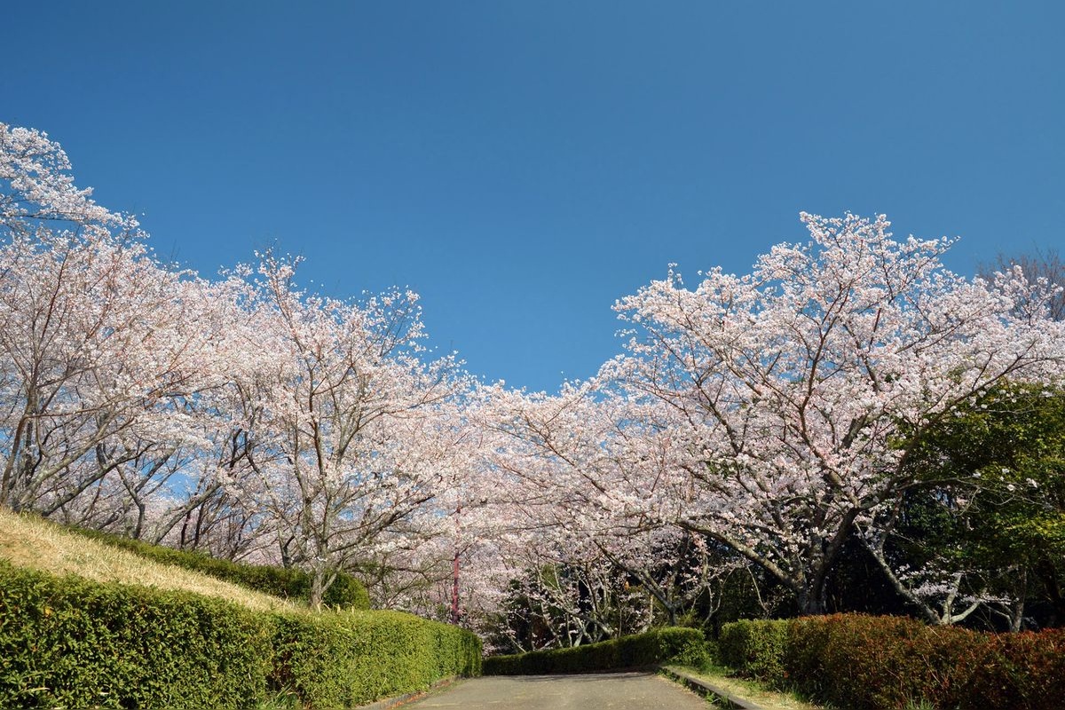 สวนสาธารณะจางะทานิ (Jagatani Park)