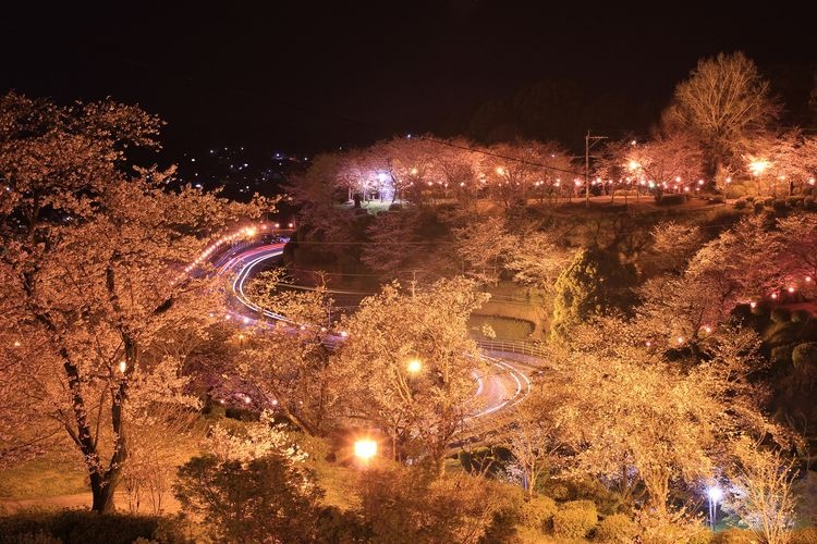 สวนสาธารณะจางะทานิ (Jagatani Park)