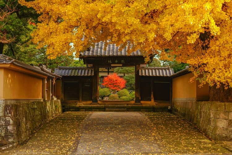 Chōzan-ji Temple 2