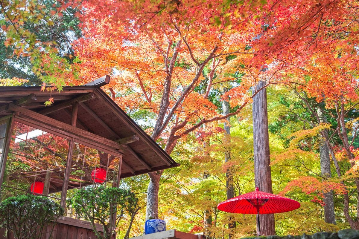 神護寺 (Jingo-ji)
