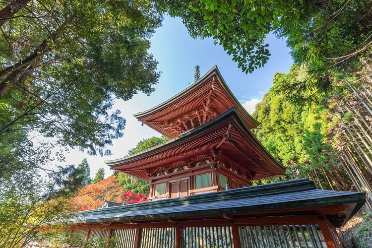 神護寺 (Jingo-ji)