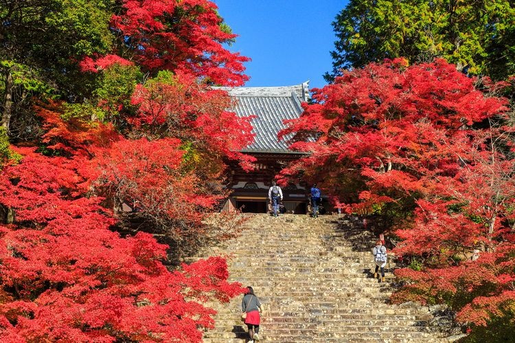 神護寺 (Jingo-ji) 2