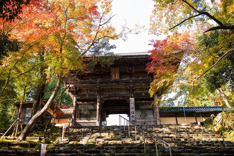 神護寺 (Jingo-ji) 3