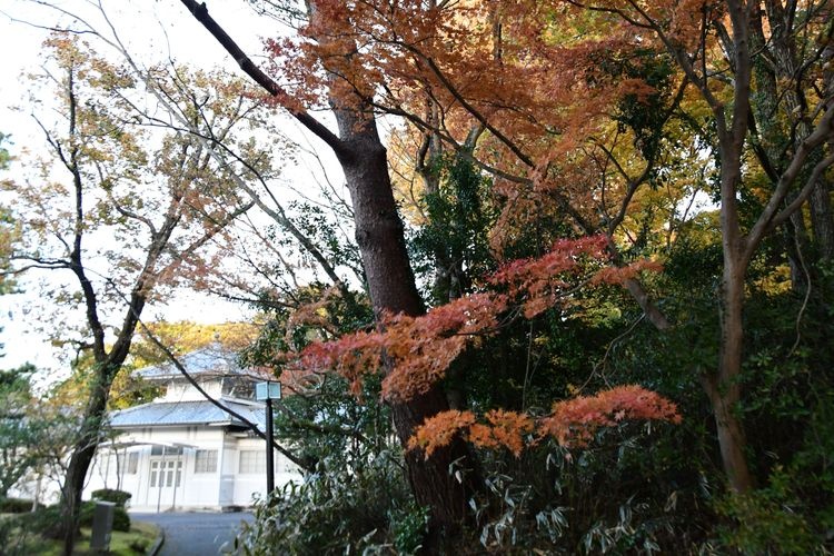 Jingu Nogyokan (Jingu Agricultural Museum) 2