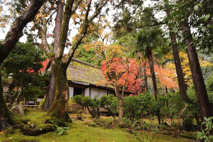 神宮寺