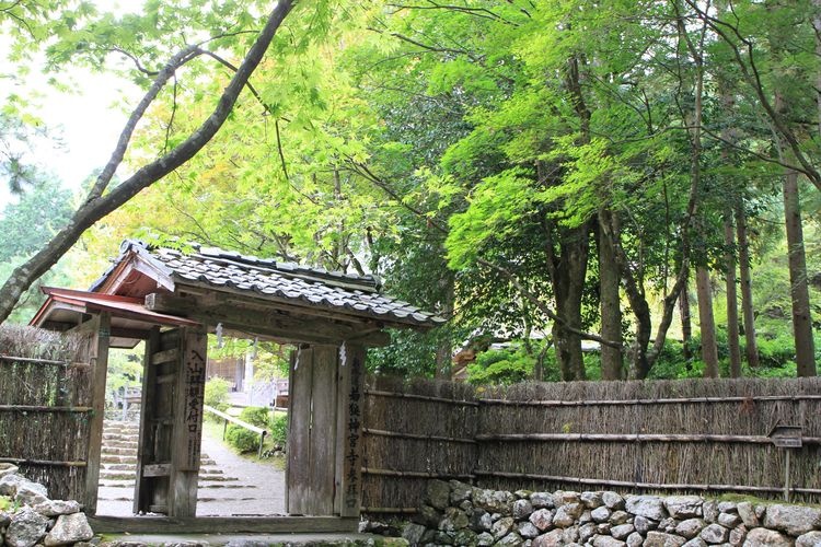 神宮寺 3
