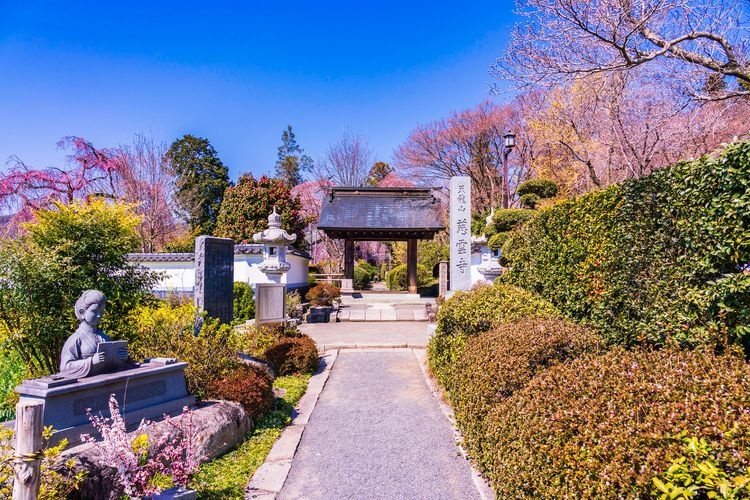 慈雲寺 (Jion-ji)