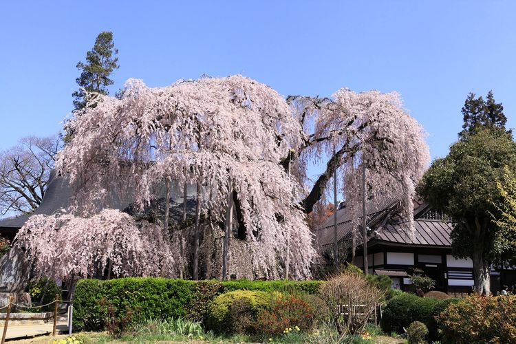 Jiun-ji 2