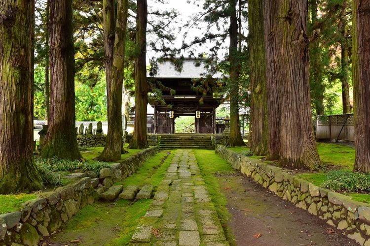 慈雲寺 6