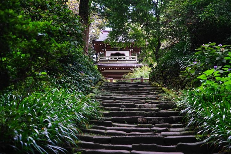 浄智寺 2